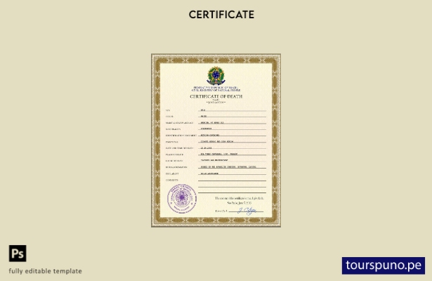listo para imprimir plantilla PSD de certificado de defunción de Brasil